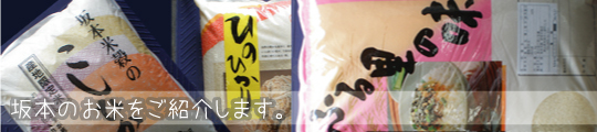 商品紹介