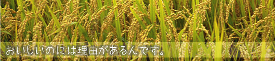 おいしさの理由